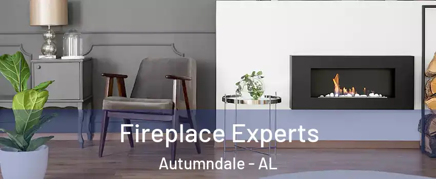 Fireplace Experts Autumndale - AL