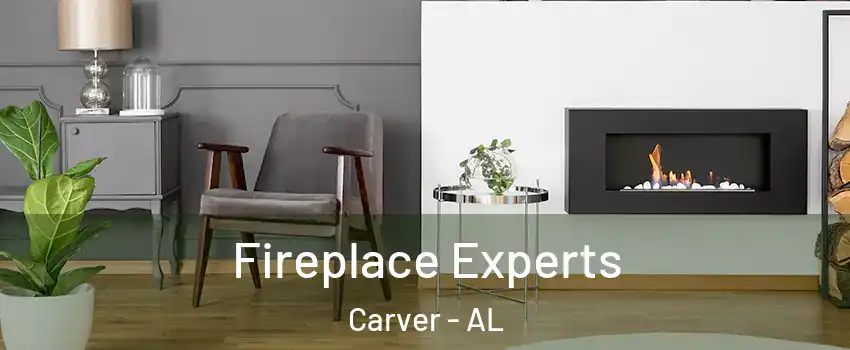 Fireplace Experts Carver - AL