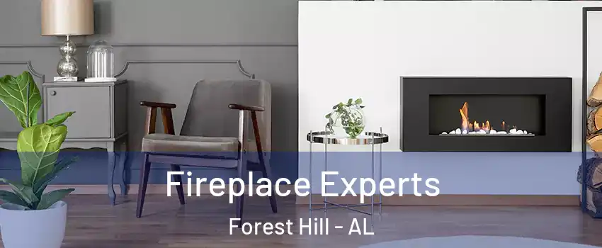 Fireplace Experts Forest Hill - AL