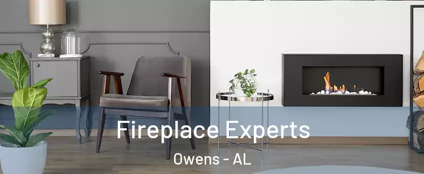 Fireplace Experts Owens - AL