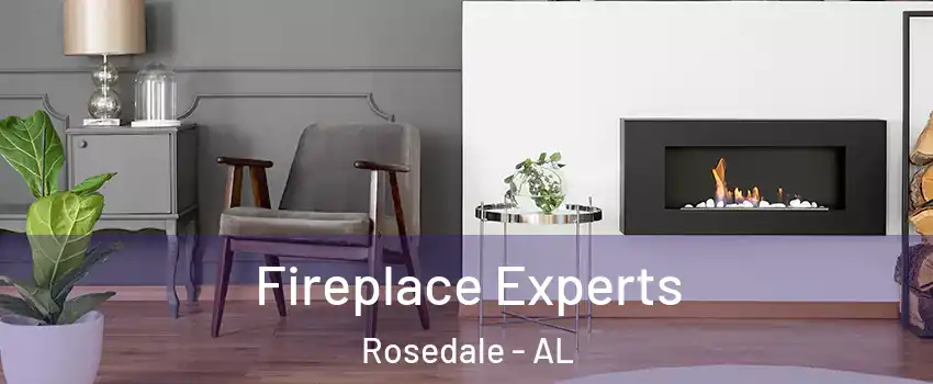 Fireplace Experts Rosedale - AL