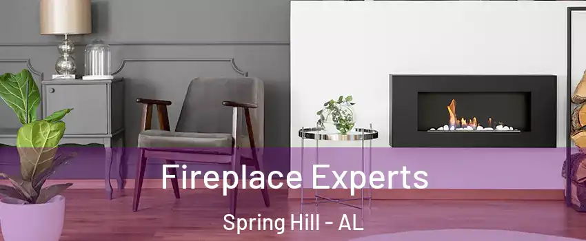 Fireplace Experts Spring Hill - AL