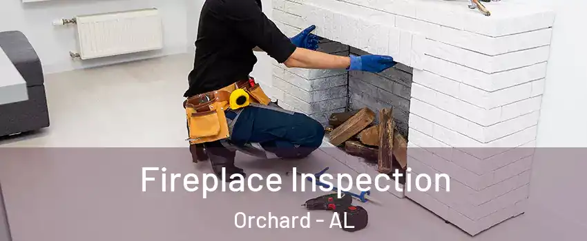 Fireplace Inspection Orchard - AL