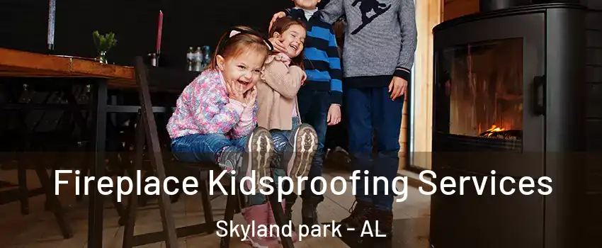 Fireplace Kidsproofing Services Skyland park - AL