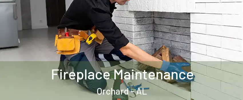 Fireplace Maintenance Orchard - AL