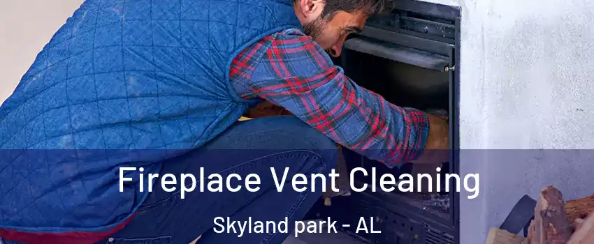 Fireplace Vent Cleaning Skyland park - AL