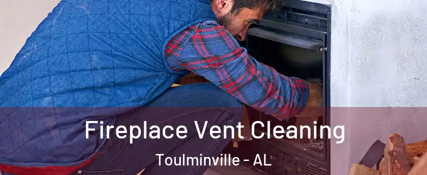 Fireplace Vent Cleaning Toulminville - AL