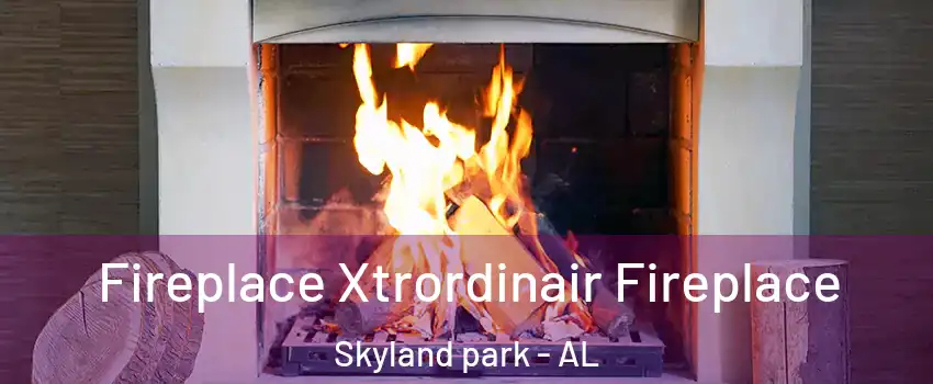 Fireplace Xtrordinair Fireplace Skyland park - AL