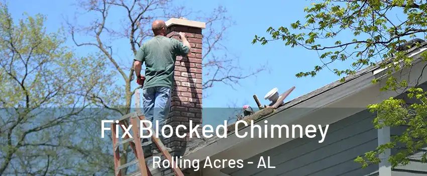 Fix Blocked Chimney Rolling Acres - AL