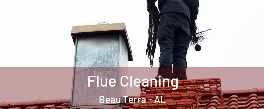 Flue Cleaning Beau Terra - AL