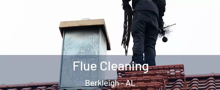 Flue Cleaning Berkleigh - AL