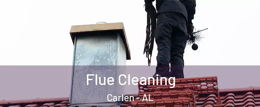 Flue Cleaning Carlen - AL