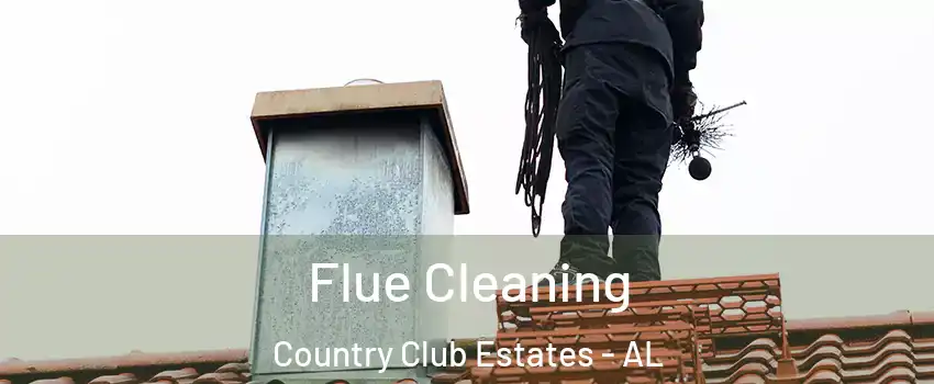 Flue Cleaning Country Club Estates - AL