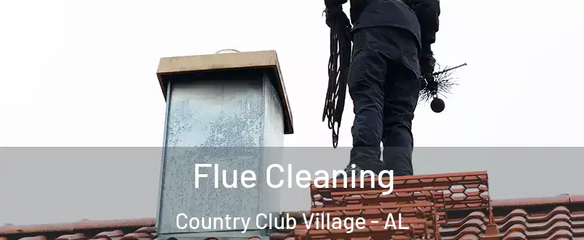 Flue Cleaning Country Club Village - AL