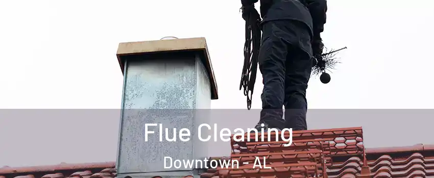 Flue Cleaning Downtown - AL