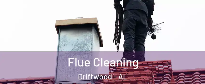 Flue Cleaning Driftwood - AL