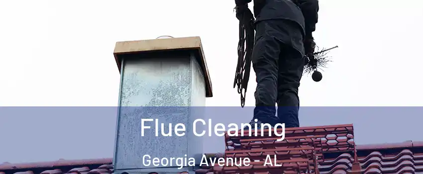 Flue Cleaning Georgia Avenue - AL