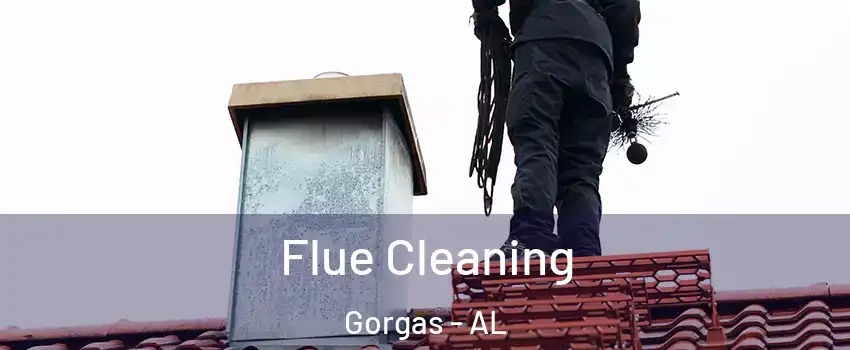 Flue Cleaning Gorgas - AL