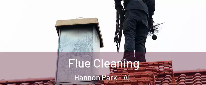 Flue Cleaning Hannon Park - AL