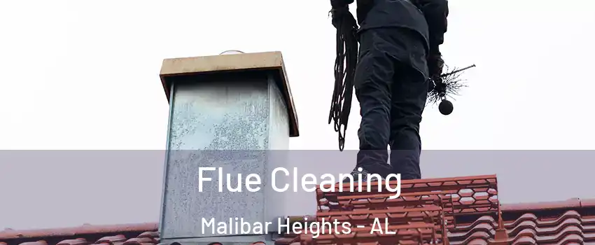 Flue Cleaning Malibar Heights - AL