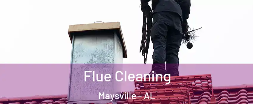 Flue Cleaning Maysville - AL