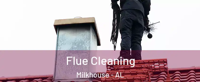 Flue Cleaning Milkhouse - AL