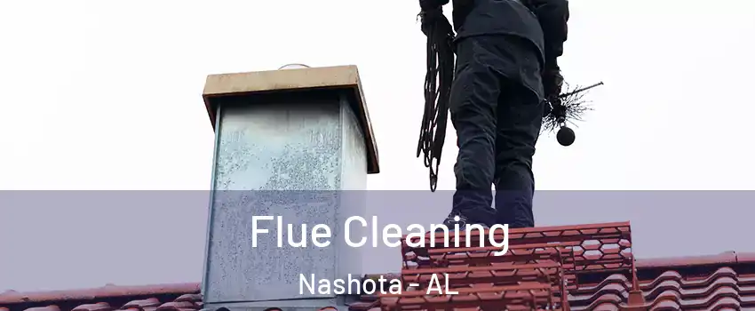 Flue Cleaning Nashota - AL