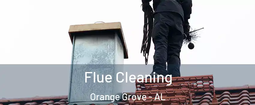 Flue Cleaning Orange Grove - AL