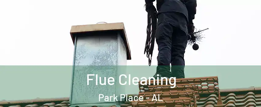 Flue Cleaning Park Place - AL