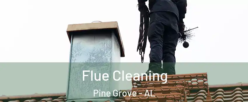 Flue Cleaning Pine Grove - AL