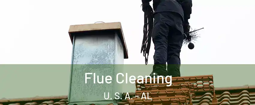 Flue Cleaning U. S. A. - AL