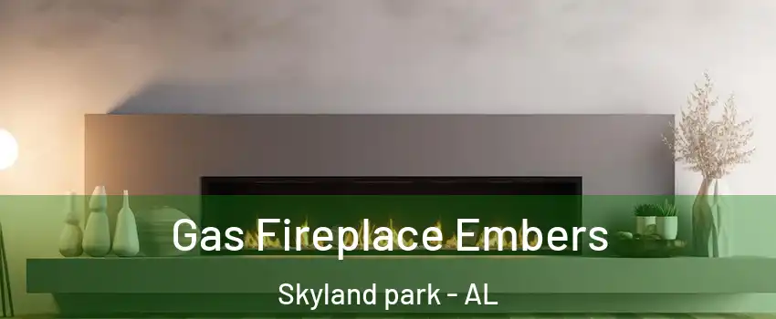 Gas Fireplace Embers Skyland park - AL