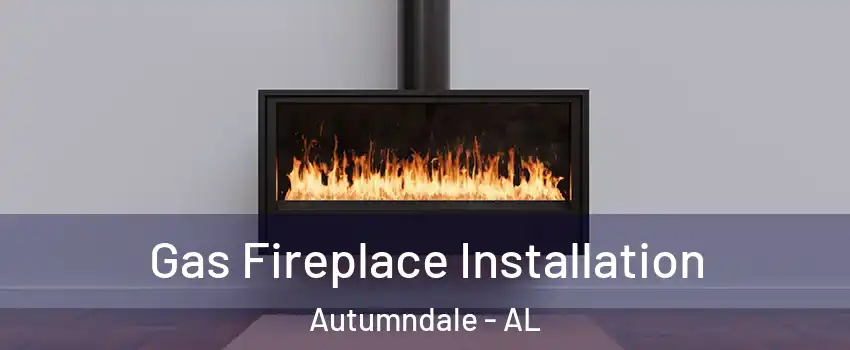 Gas Fireplace Installation Autumndale - AL