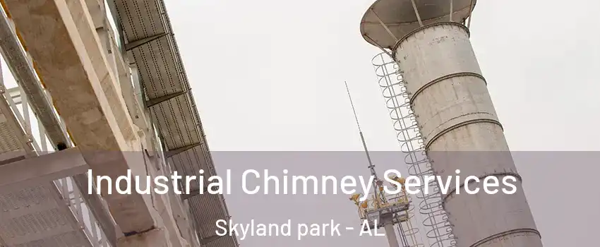 Industrial Chimney Services Skyland park - AL