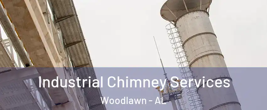 Industrial Chimney Services Woodlawn - AL