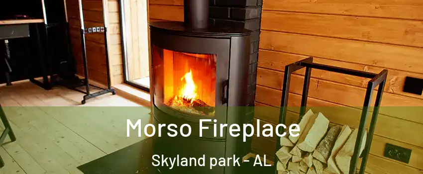 Morso Fireplace Skyland park - AL