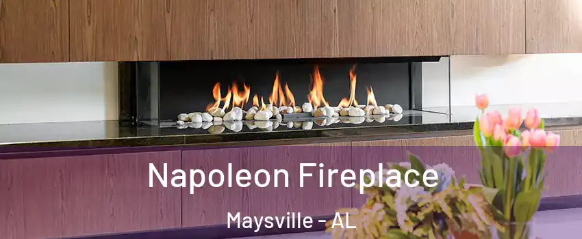 Napoleon Fireplace Maysville - AL