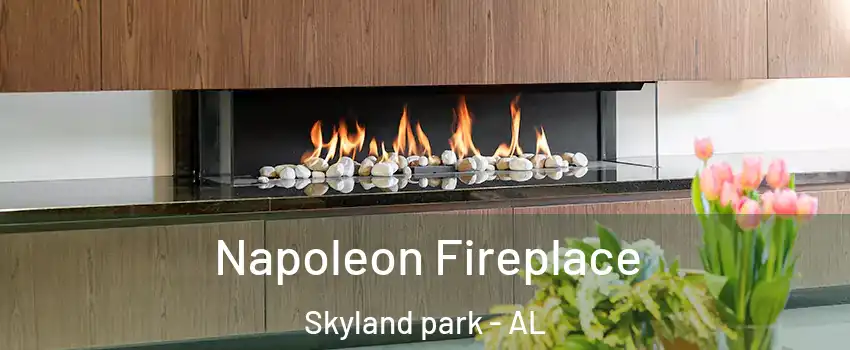 Napoleon Fireplace Skyland park - AL