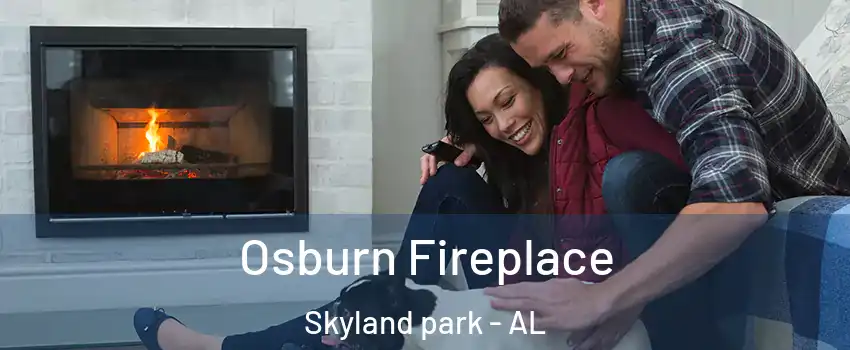 Osburn Fireplace Skyland park - AL