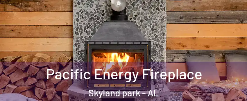 Pacific Energy Fireplace Skyland park - AL