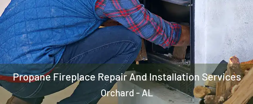 Propane Fireplace Repair And Installation Services Orchard - AL