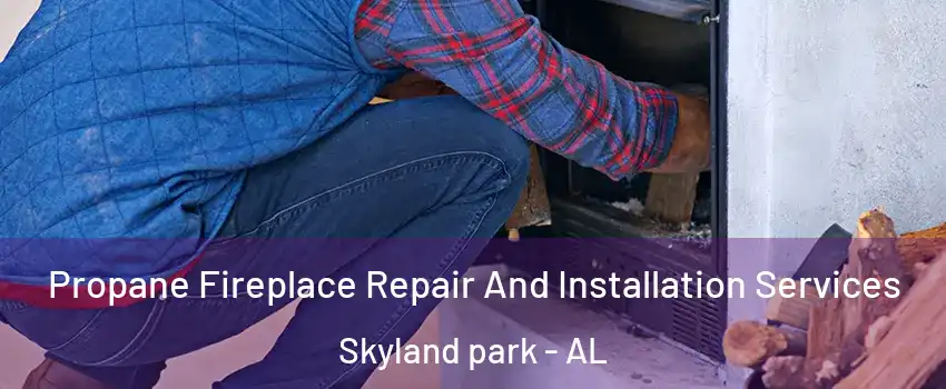 Propane Fireplace Repair And Installation Services Skyland park - AL