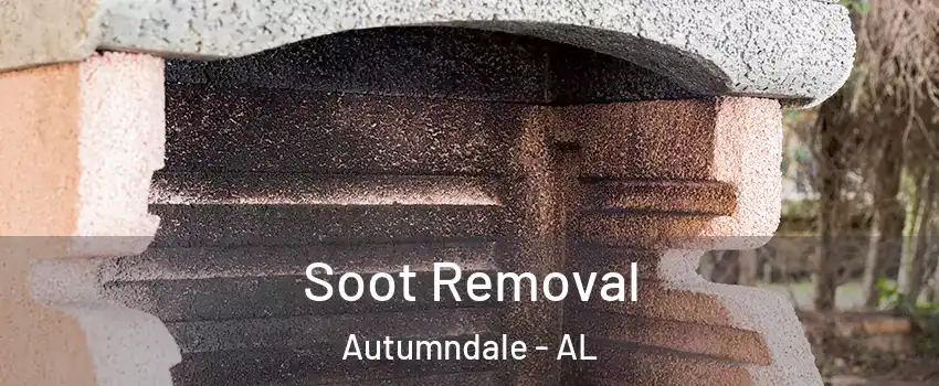 Soot Removal Autumndale - AL