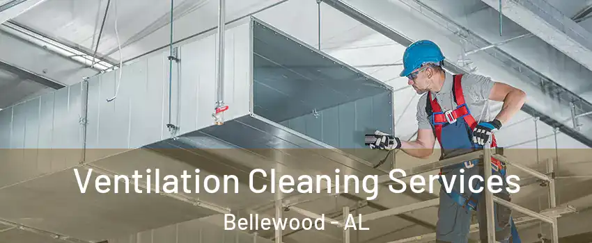 Ventilation Cleaning Services Bellewood - AL