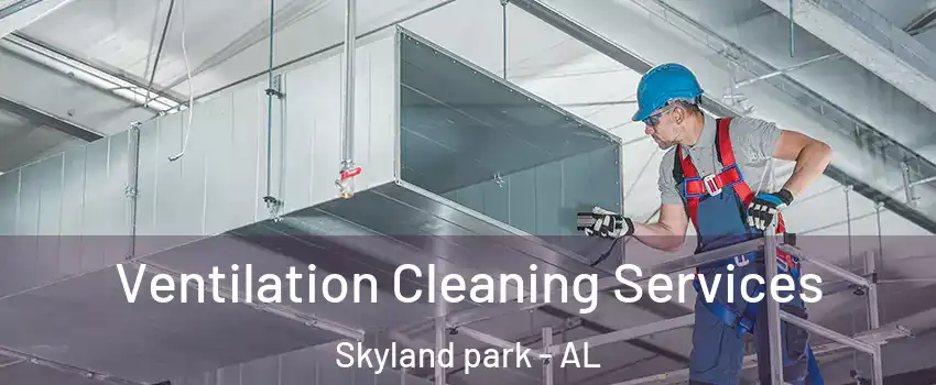 Ventilation Cleaning Services Skyland park - AL