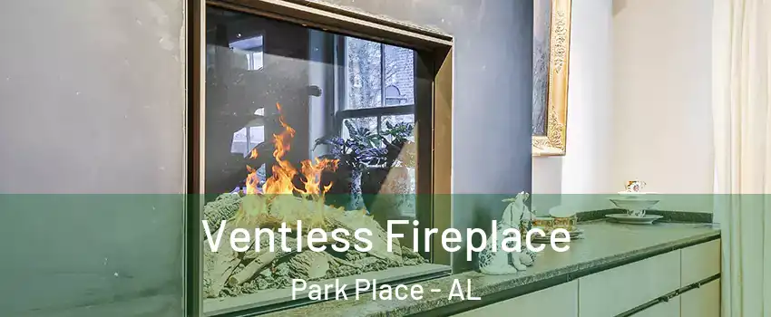 Ventless Fireplace Park Place - AL